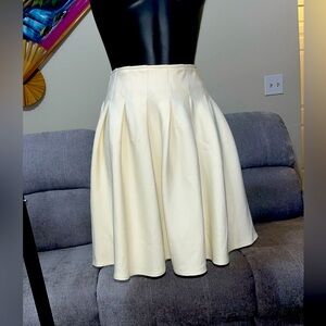 Pleated Skirt